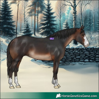 Horse Color:Brown 