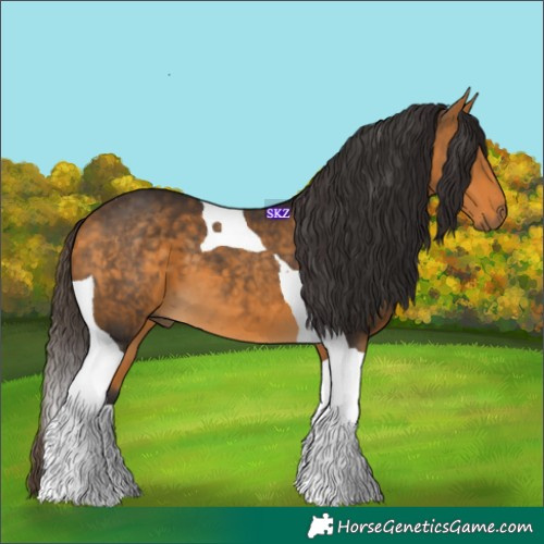 Horse Color:Buckskin Tobiano 