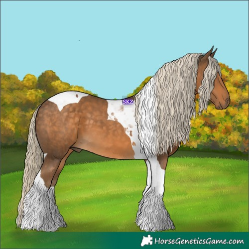 Horse Color:Chocolate Palomino Tobiano 
