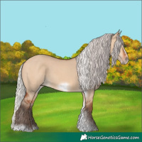 Horse Color:Silver Bay Dun Sabino Tobiano Frame Rabicano 
