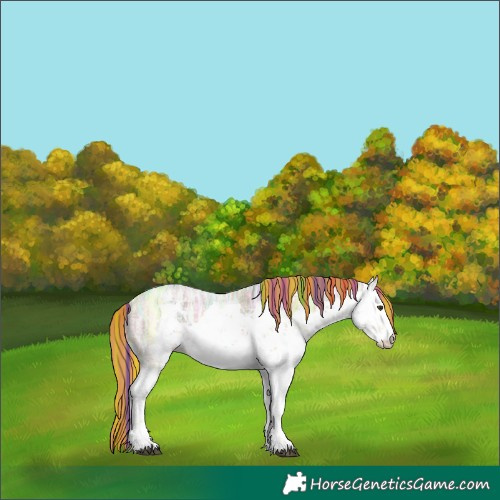 Horse Color:Painted Chestnut Ice Sabino 