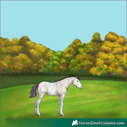 Horse Color:Painted Amber Champagne Ice Sabino Splash 