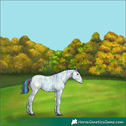 Horse Color:Painted Watercolor Black Ice 