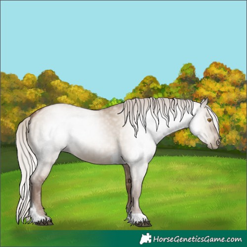Horse Color:Gray Silver Grullo Pearl Tobiano 