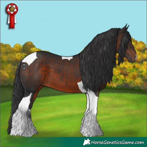 Horse Color:Brown Tobiano 