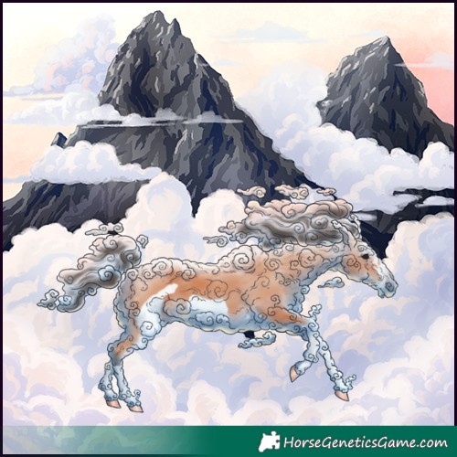 Horse Color:Bay Splash Frame 