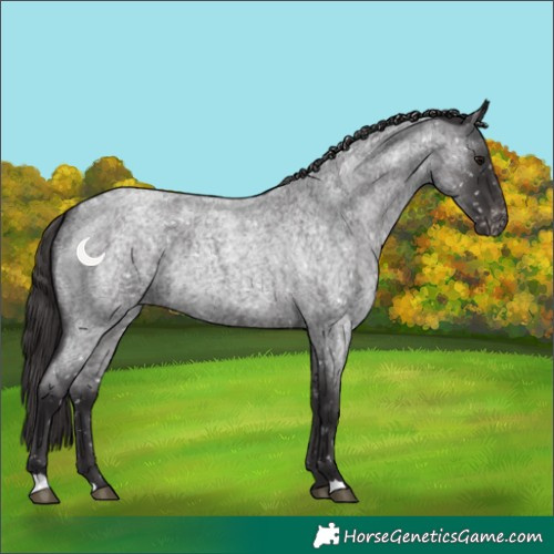 Horse Color:Smoky Blue Roan Snowflake Varnish