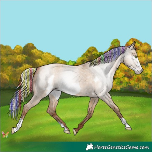 Horse Color:Gray Painted Silver Amber Champagne Roan Dun Frame 