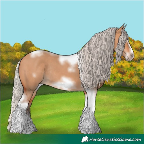 Horse Color:Silver Bay Dun Sabino Tobiano Frame Rabicano 