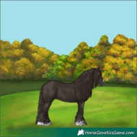 Horse Color:Liver Chestnut  and Liver Chestnut 