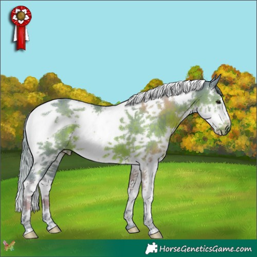 Horse Color:Watercolor Liver Chestnut Splash Tobiano 