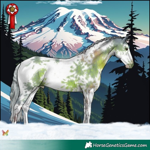 Horse Color:Watercolor Liver Chestnut Splash Tobiano 