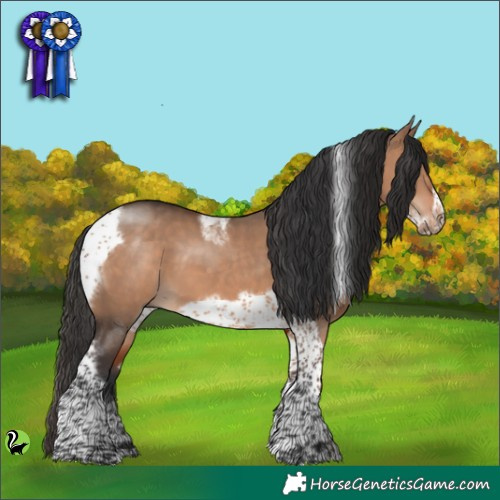 Horse Color:Bay Dun Tobiano Frame 