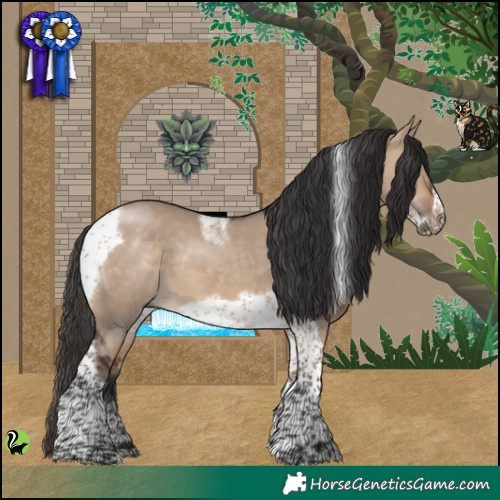 Horse Color:Bay Dun Tobiano Frame 