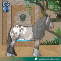 Horse Color:White Spotted Brown Dun Tobiano Blanket 