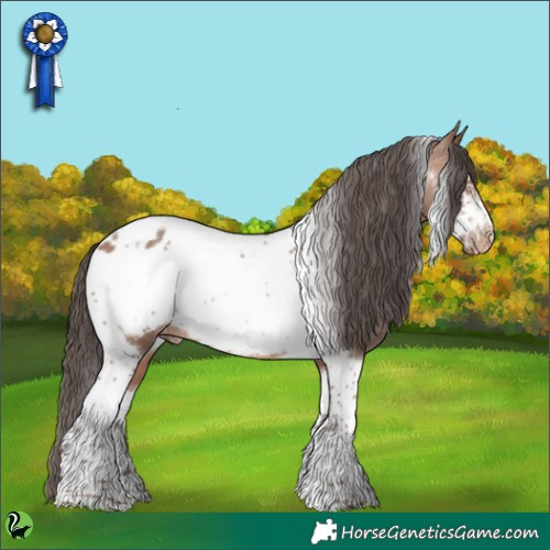 Horse Color:Sable Champagne Tobiano Frame Appaloosa 