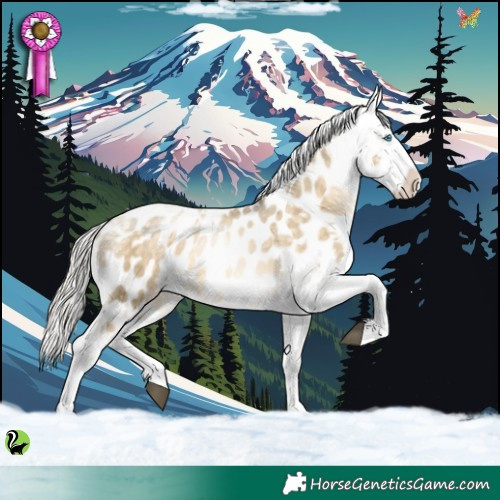Horse Color:Silver Brown Snowdrop Pearl Tobiano Appaloosa 