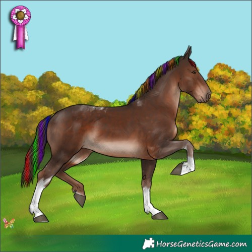 Horse Color:Painted Liver Chestnut Tobiano 