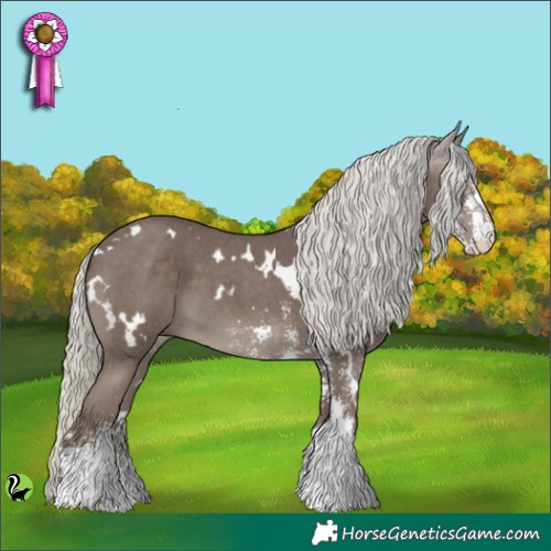 Horse Color:White Spotted Silver Black Sabino 