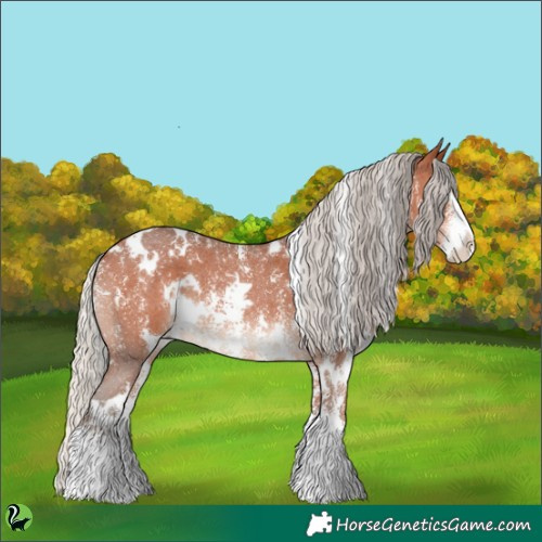 Horse Color:White Spotted Silver Bay Sabino 