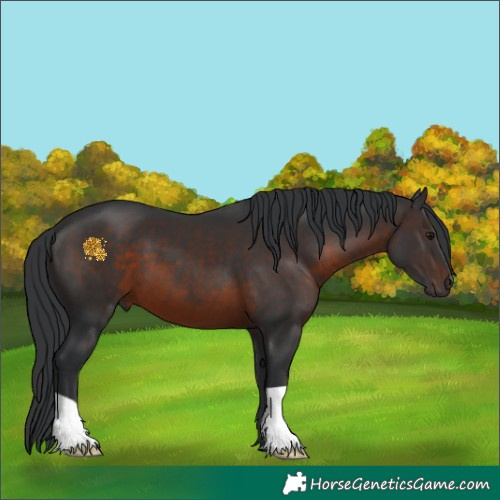 Horse Color:Brown 