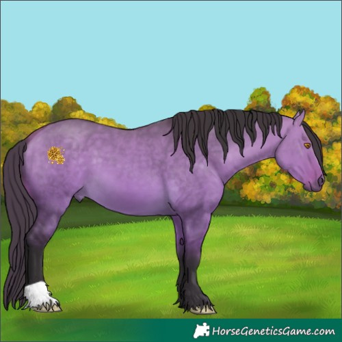 Horse Color:Buckskin Dun 