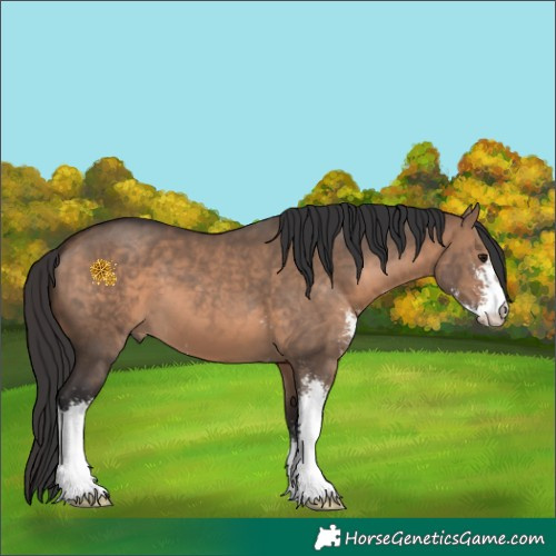 Horse Color:Brown Dun Sabino 