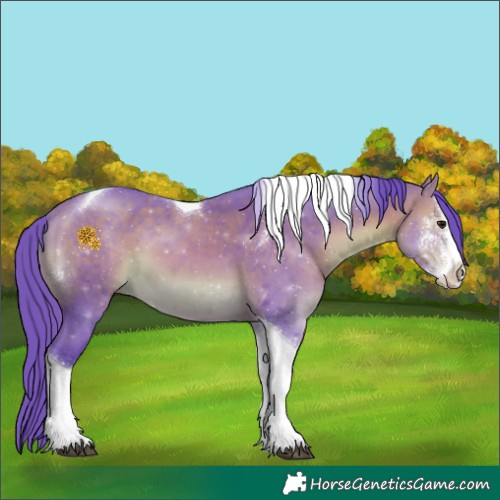 Horse Color:Watercolor Bay Sabino Tobiano 