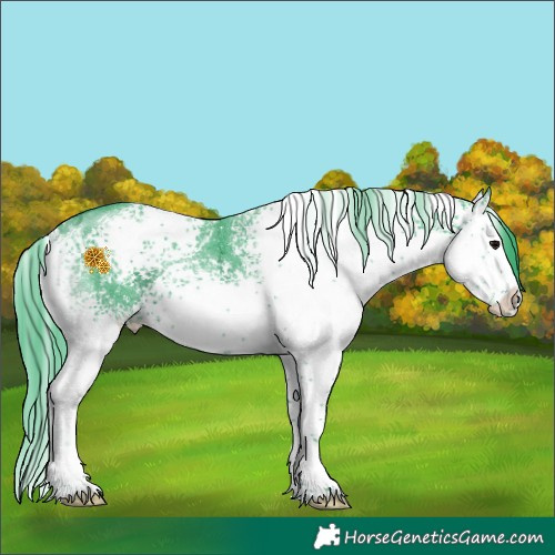 Horse Color:Watercolor White Spotted Black Ice Sabino Rabicano 