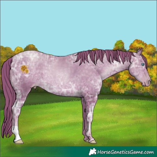 Horse Color:Chocolate Buckskin Ice Pearl 