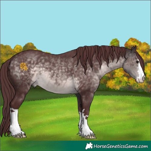 Horse Color:Platinum Chocolate Buckskin 