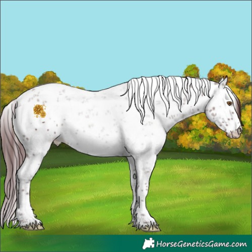 Horse Color:Chocolate Smoky Black Sabino 