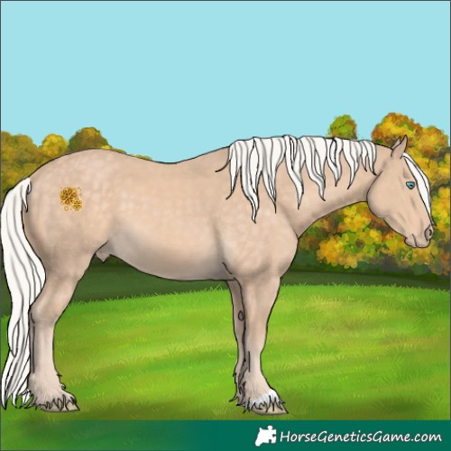 Horse Color:Chocolate Silver Perlino 