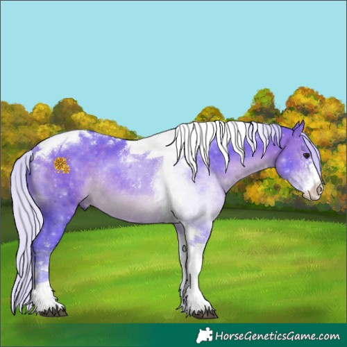 Horse Color:Watercolor Silver Brown Sabino Tobiano Rabicano 