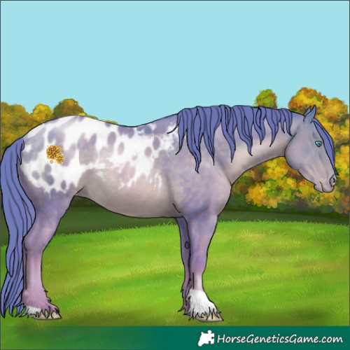 Horse Color:Watercolor Buckskin Pearl Appaloosa Rabicano 