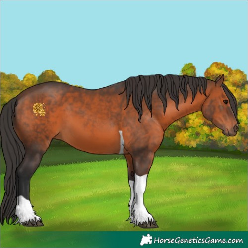 Horse Color:Brown Tobiano 