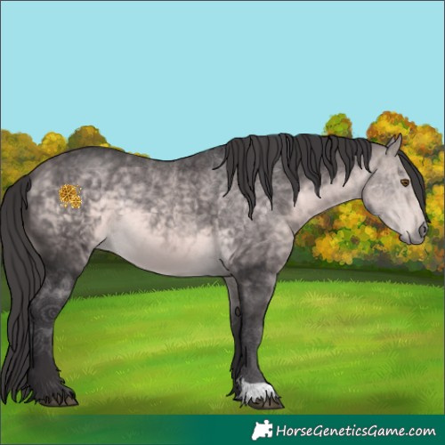 Horse Color:Platinum Buckskin 