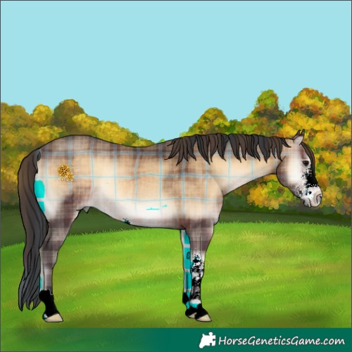 Horse Color:Plaid  Brown Onyx Sabino Rabicano 