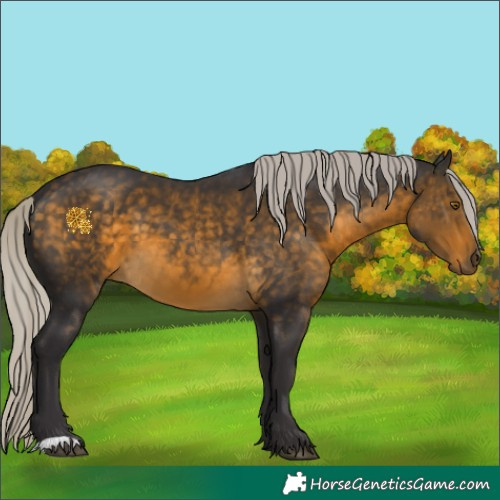 Horse Color:Silver Buckskin 