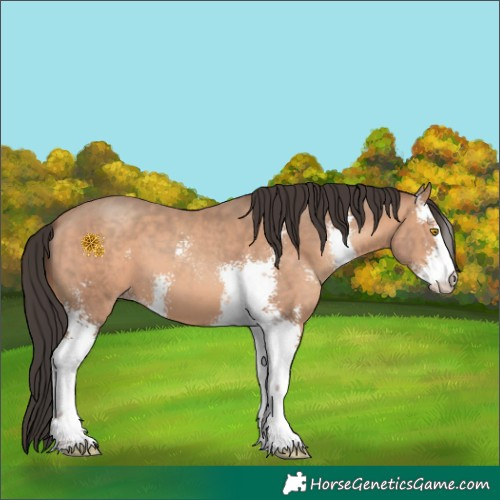 Horse Color:Sable Champagne Sabino 
