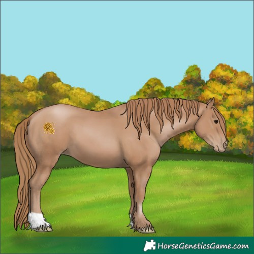 Horse Color:Black Pearl 