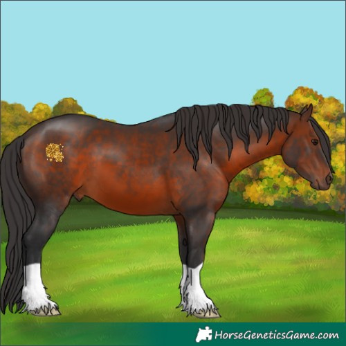 Horse Color:Brown 
