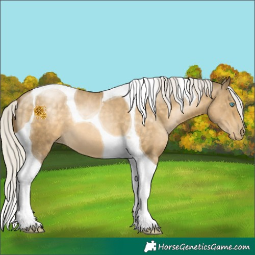 Horse Color:Silver Buckskin Pearl Tobiano 