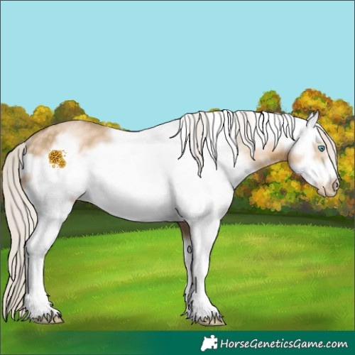 Horse Color:White Spotted Silver Buckskin Pearl Frame Rabicano 