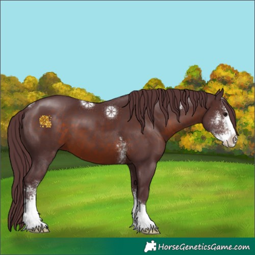 Horse Color:Chocolate Brown Sabino 