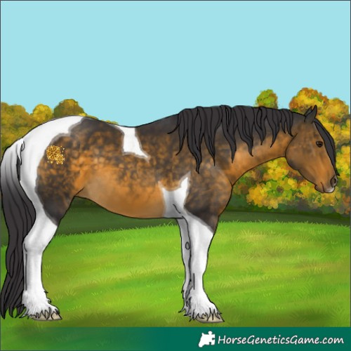 Horse Color:Buckskin Tobiano 