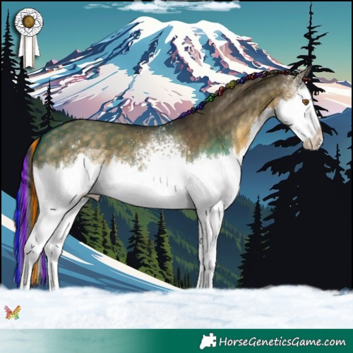 Horse Color:Painted White Spotted Buckskin Dun Splash 