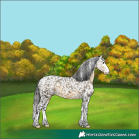 Horse Color:Buckskin Snowcap 