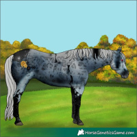 Horse Color:ERROR: UNKNOWN ANOMALY