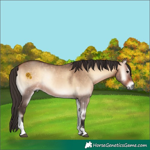 Horse Color:Bay Onyx Tobiano 